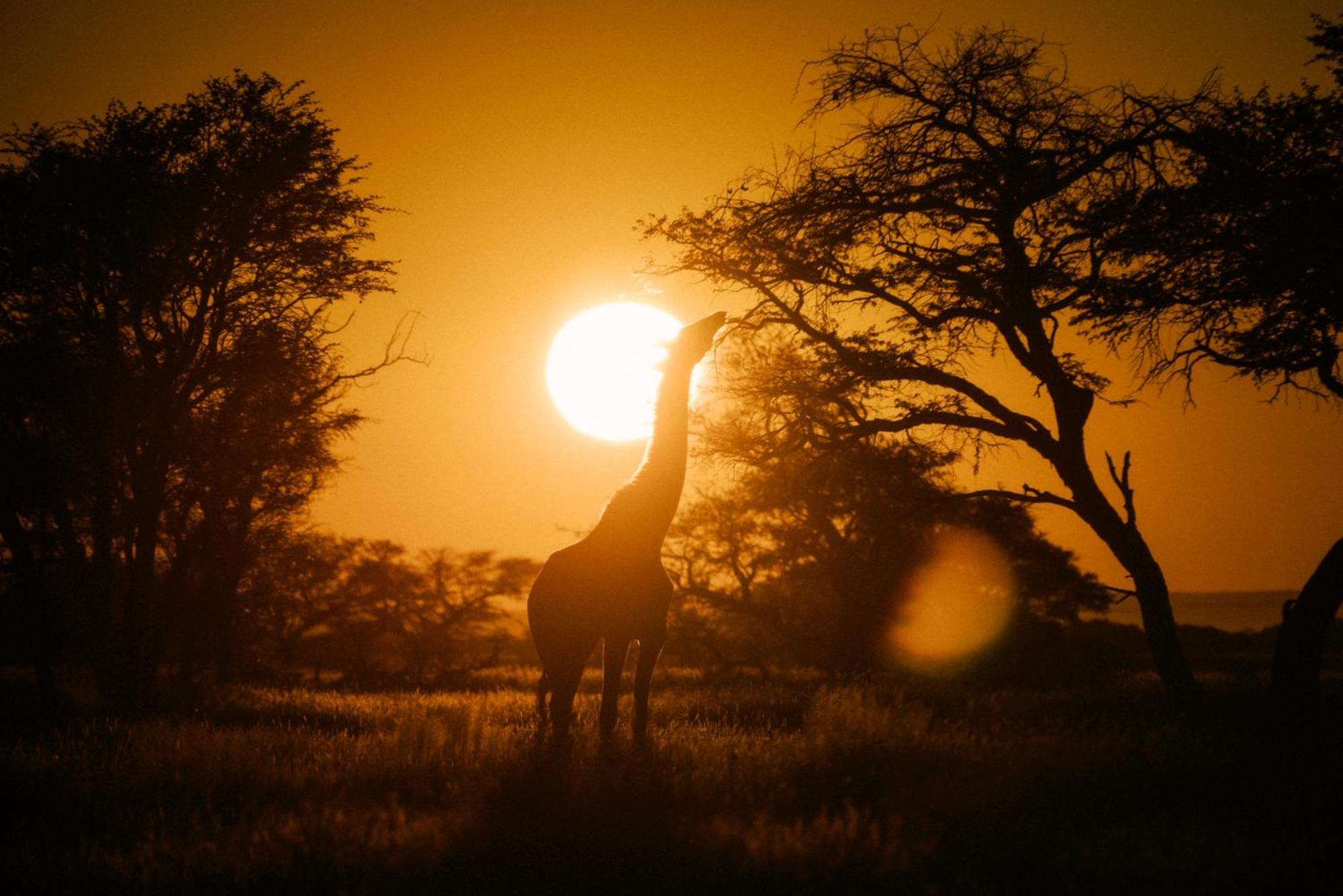 Отель Our Habitas Namibia Виндхук Экстерьер фото