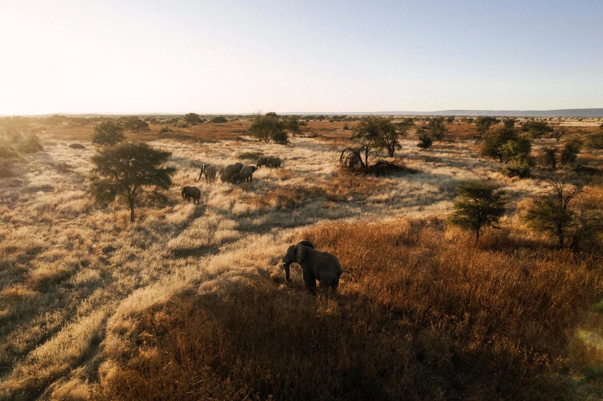Отель Our Habitas Namibia Виндхук Экстерьер фото